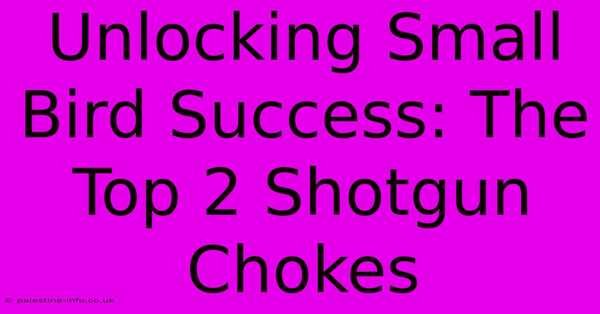 Unlocking Small Bird Success: The Top 2 Shotgun Chokes