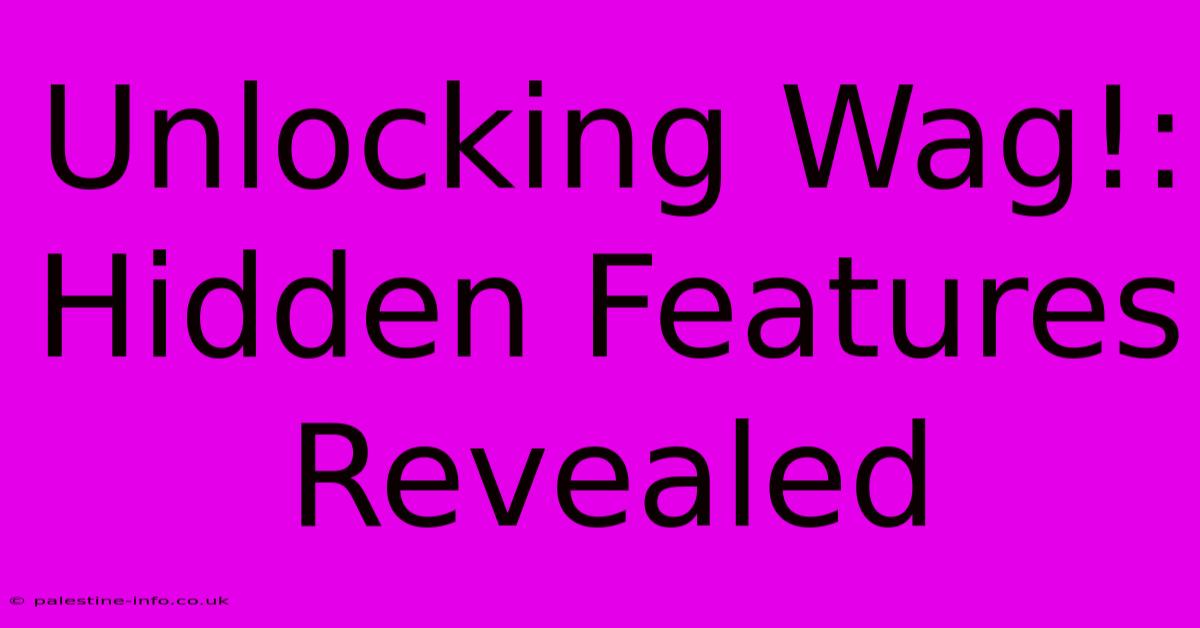 Unlocking Wag!: Hidden Features Revealed