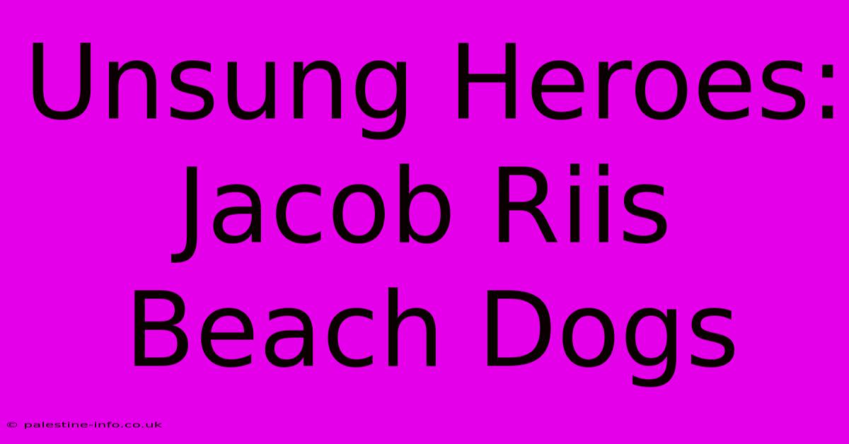 Unsung Heroes: Jacob Riis Beach Dogs