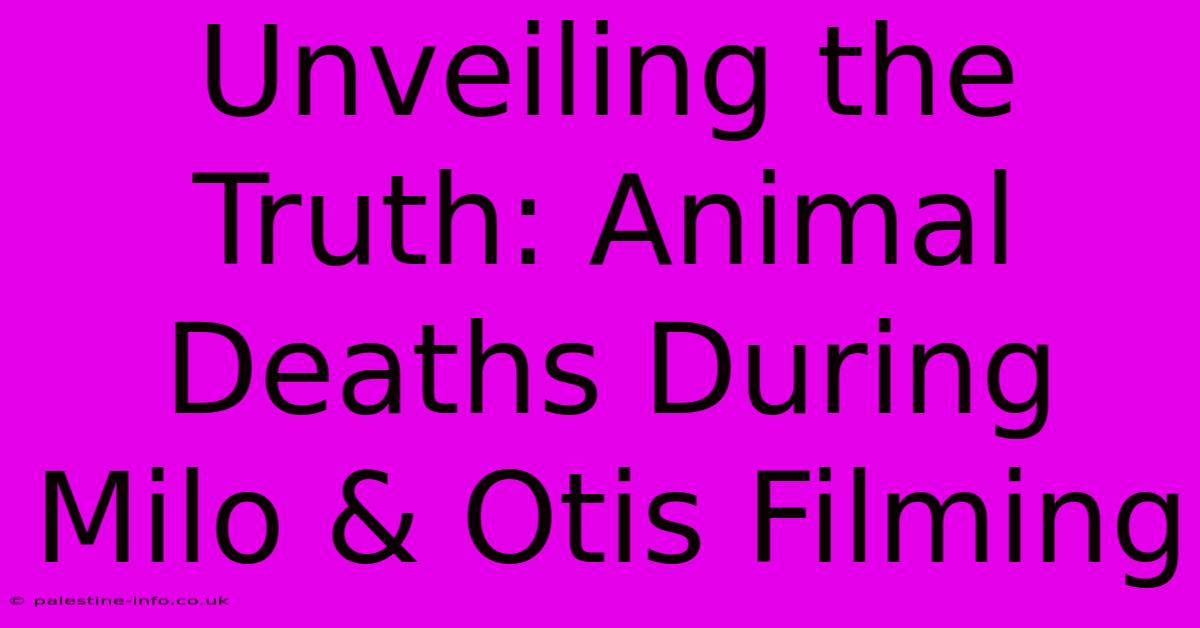 Unveiling The Truth: Animal Deaths During Milo & Otis Filming