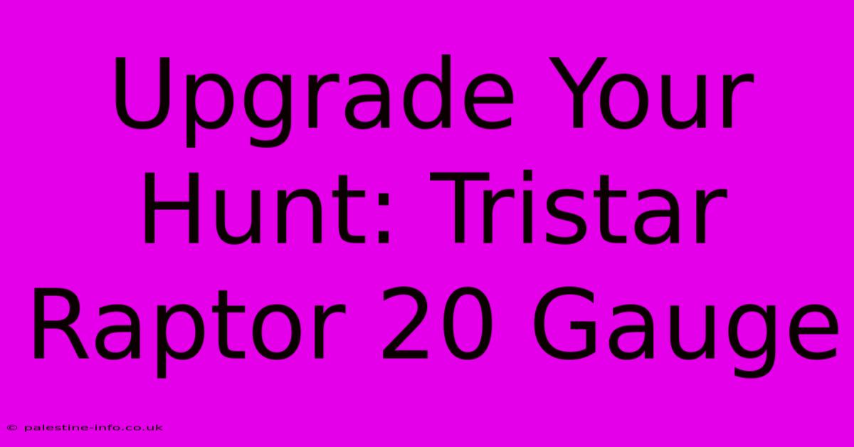 Upgrade Your Hunt: Tristar Raptor 20 Gauge