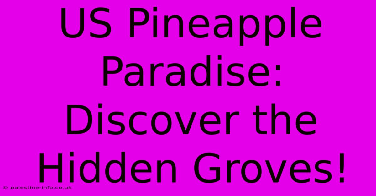 US Pineapple Paradise: Discover The Hidden Groves!