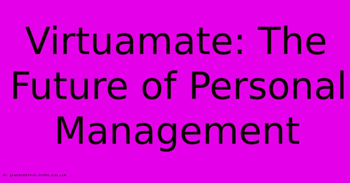 Virtuamate: The Future Of Personal Management