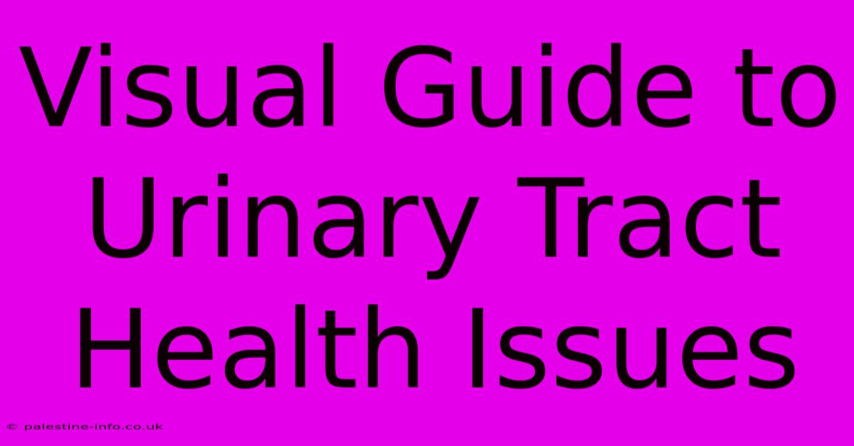 Visual Guide To Urinary Tract Health Issues