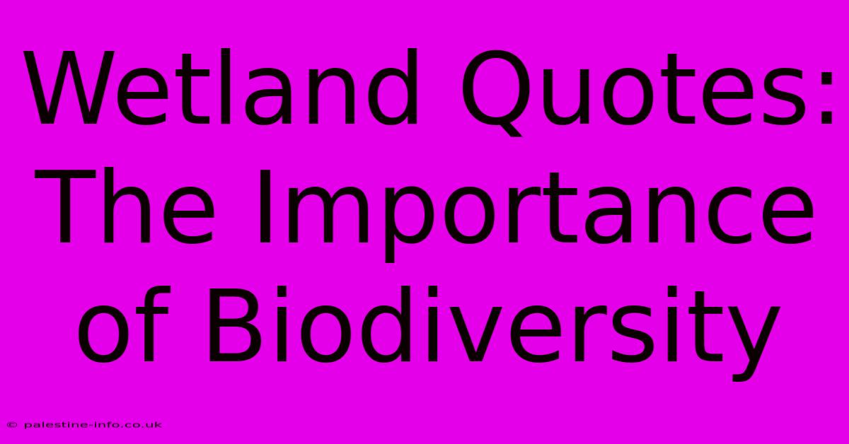 Wetland Quotes:  The Importance Of Biodiversity