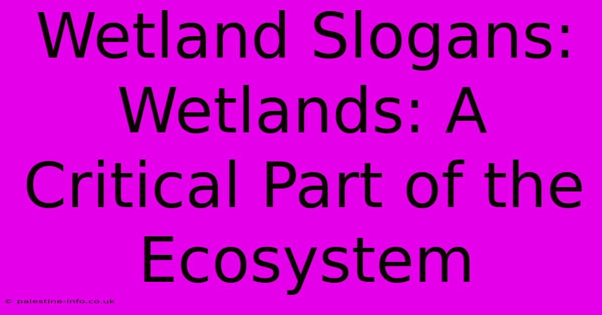 Wetland Slogans:  Wetlands: A Critical Part Of The Ecosystem