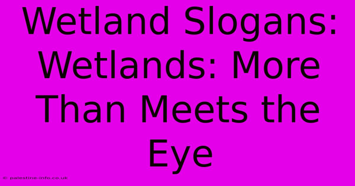 Wetland Slogans:  Wetlands: More Than Meets The Eye