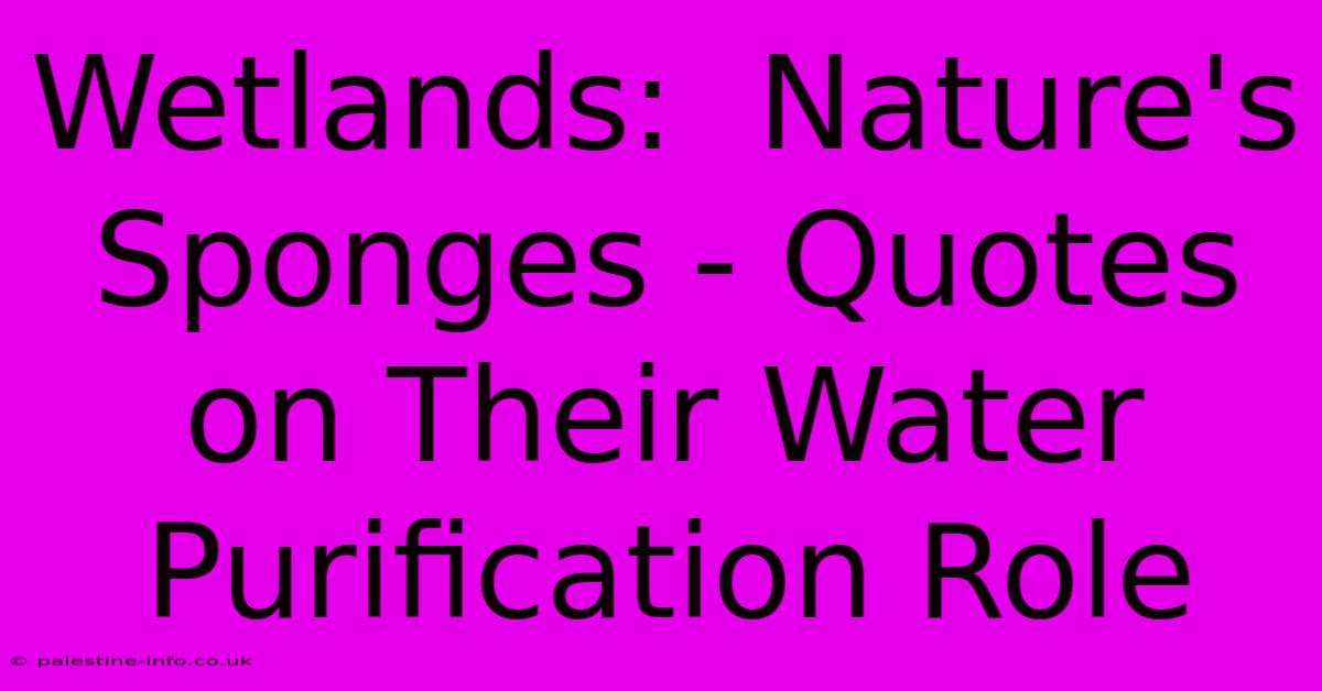 Wetlands:  Nature's Sponges - Quotes On Their Water Purification Role