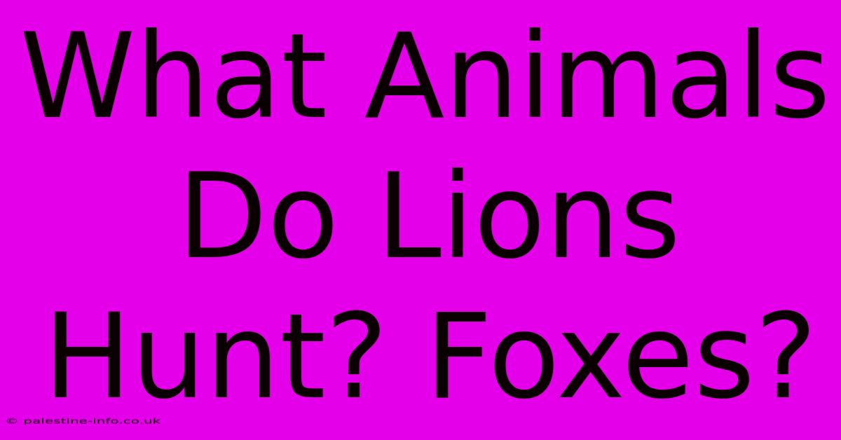 What Animals Do Lions Hunt? Foxes?