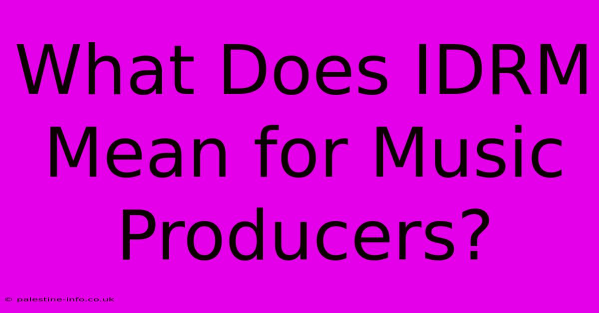 What Does IDRM Mean For Music Producers?