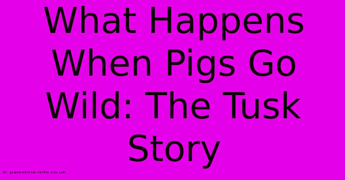 What Happens When Pigs Go Wild: The Tusk Story