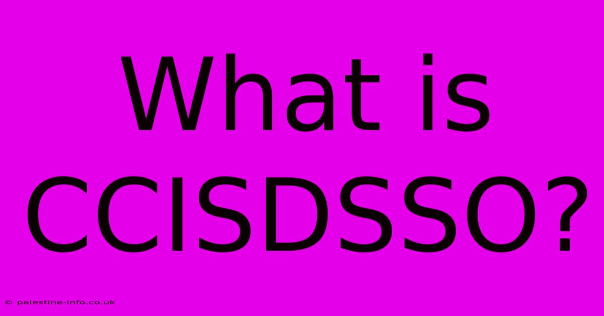 What Is CCISDSSO?