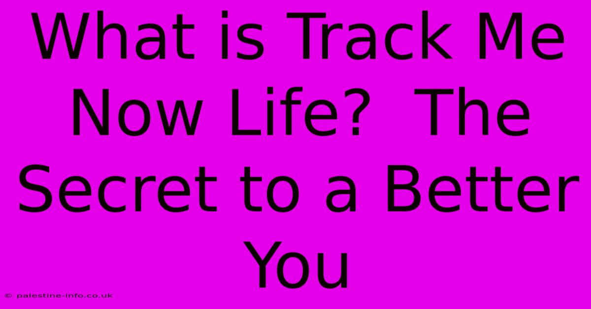 What Is Track Me Now Life?  The Secret To A Better You