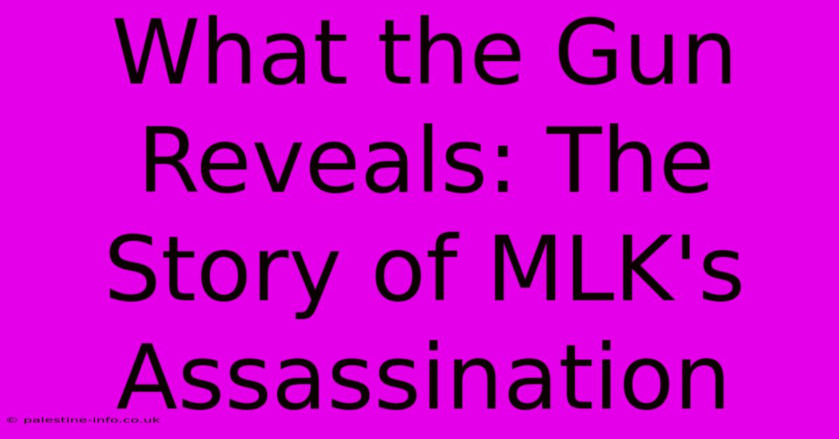 What The Gun Reveals: The Story Of MLK's Assassination