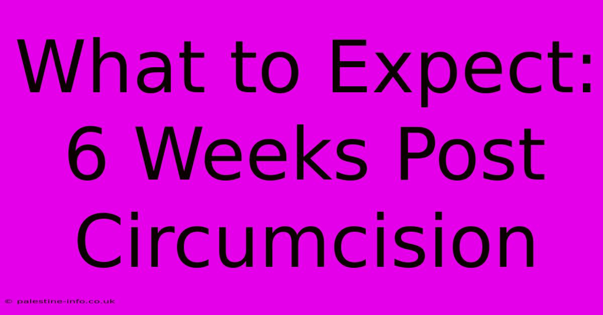 What To Expect: 6 Weeks Post Circumcision