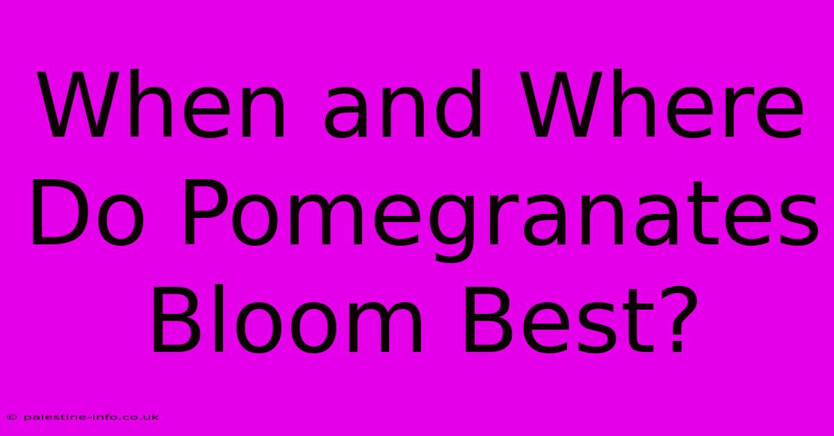 When And Where Do Pomegranates Bloom Best?