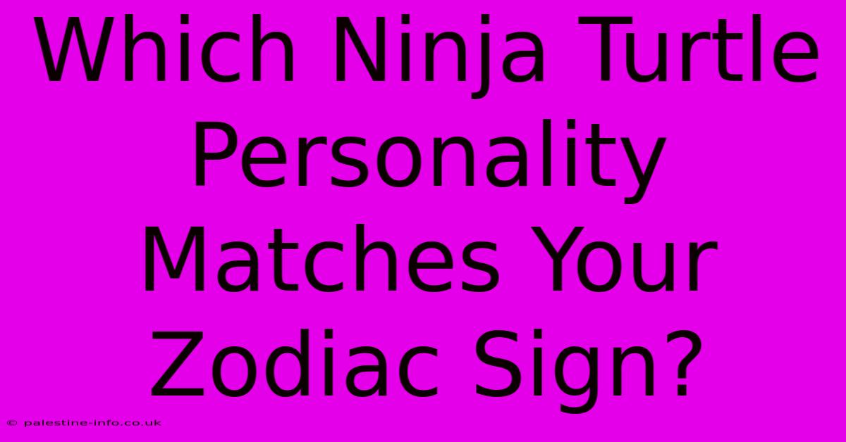 Which Ninja Turtle Personality Matches Your Zodiac Sign?