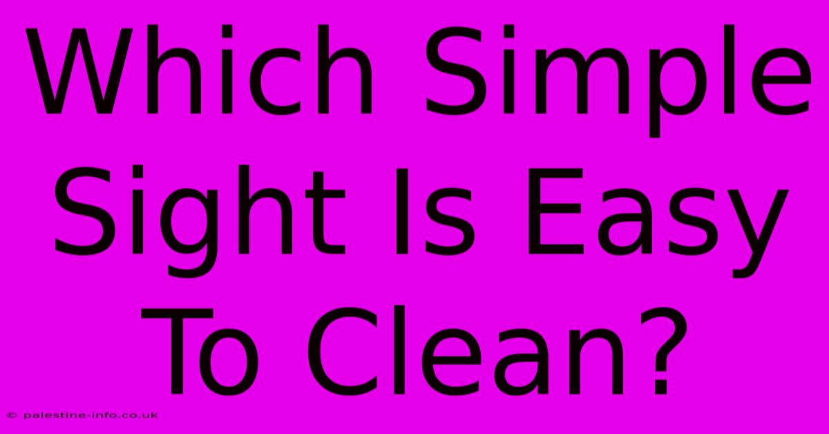 Which Simple Sight Is Easy To Clean?