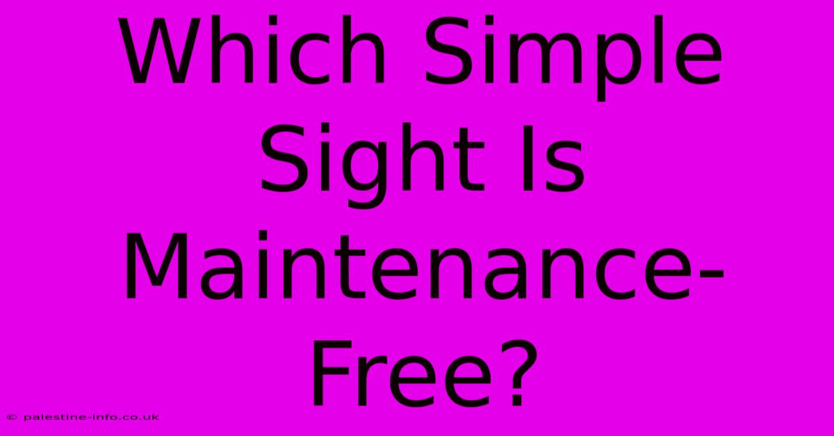 Which Simple Sight Is Maintenance-Free?