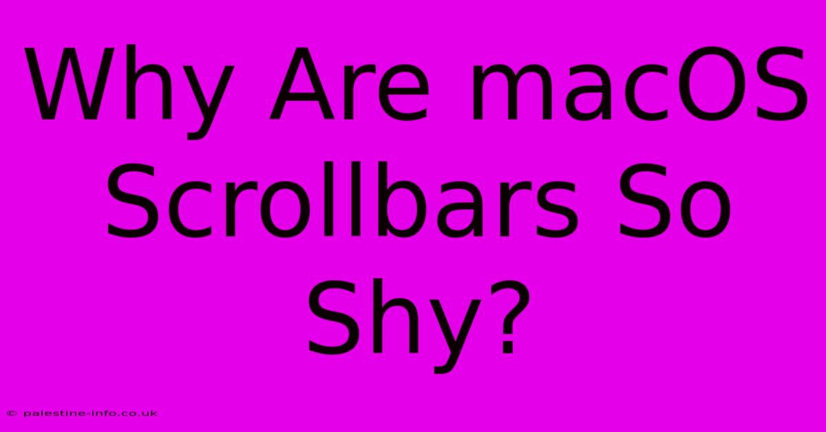 Why Are MacOS Scrollbars So Shy?