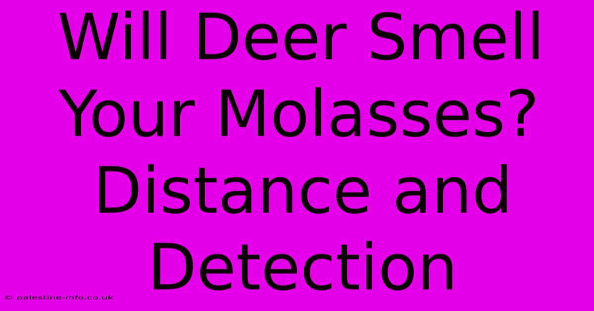 Will Deer Smell Your Molasses?  Distance And Detection