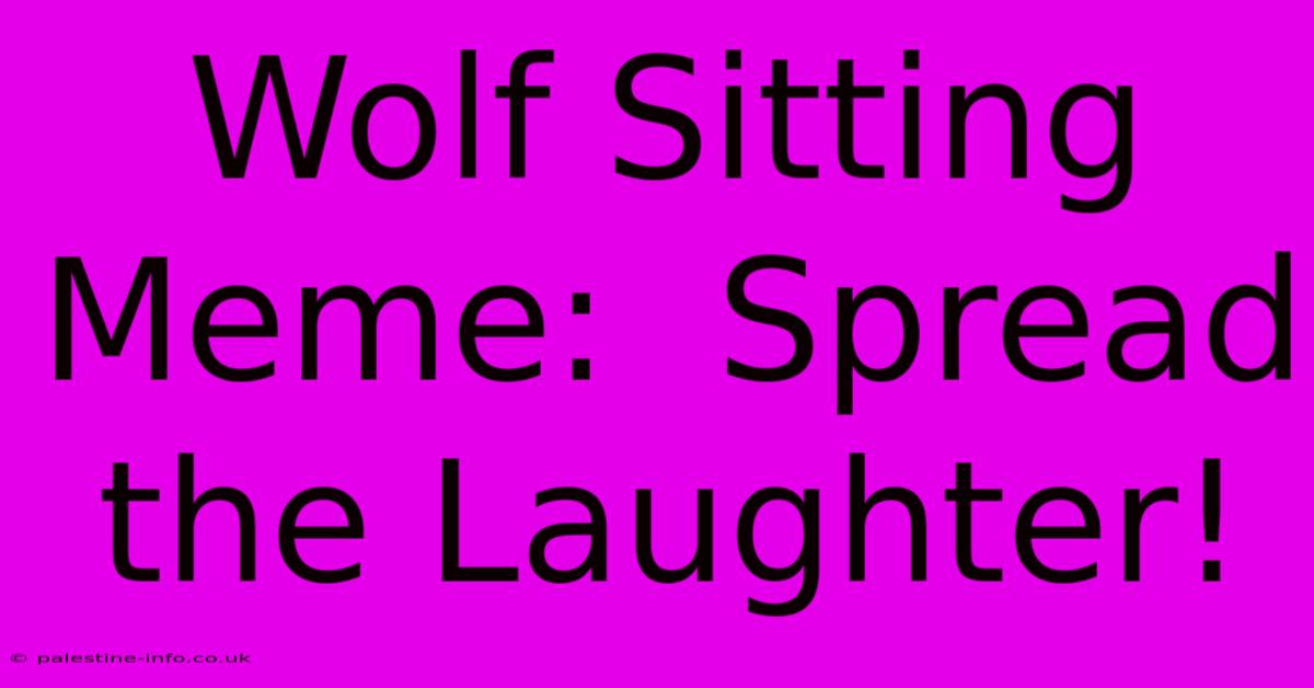 Wolf Sitting Meme:  Spread The Laughter!