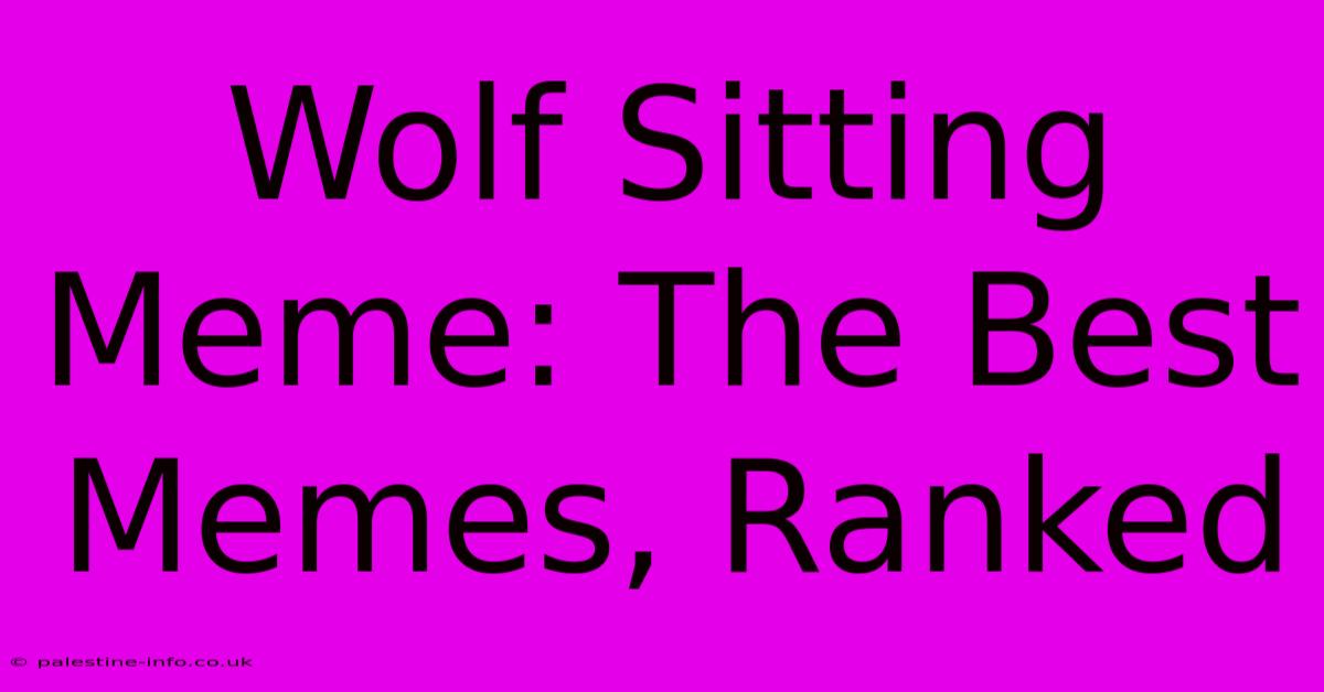 Wolf Sitting Meme: The Best Memes, Ranked