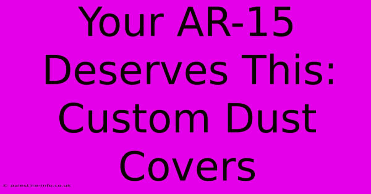 Your AR-15 Deserves This: Custom Dust Covers