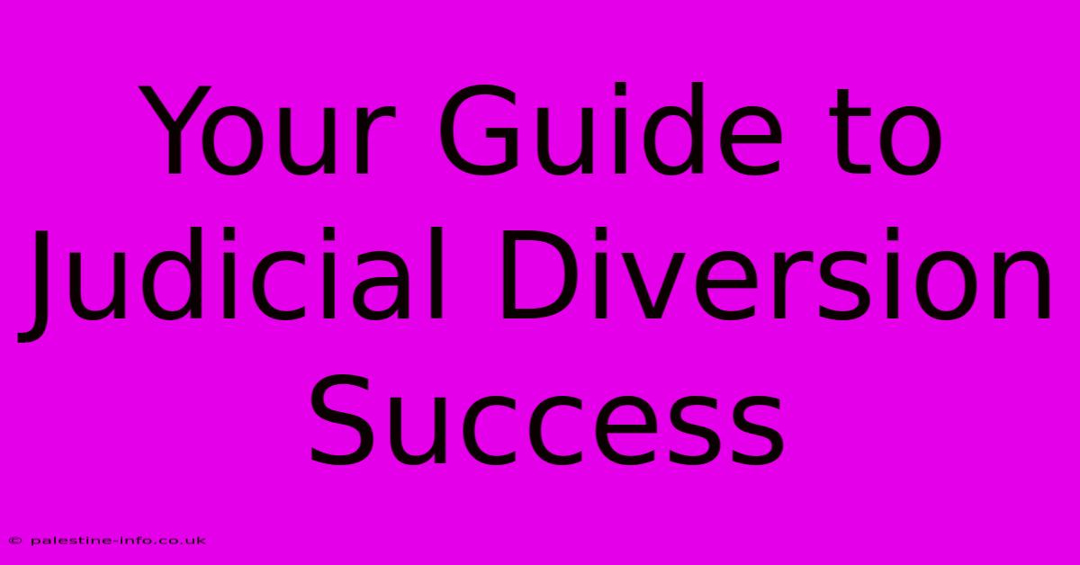 Your Guide To Judicial Diversion Success