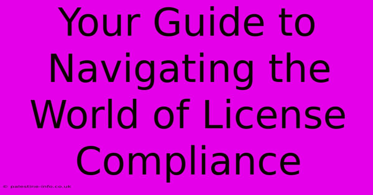 Your Guide To Navigating The World Of License Compliance