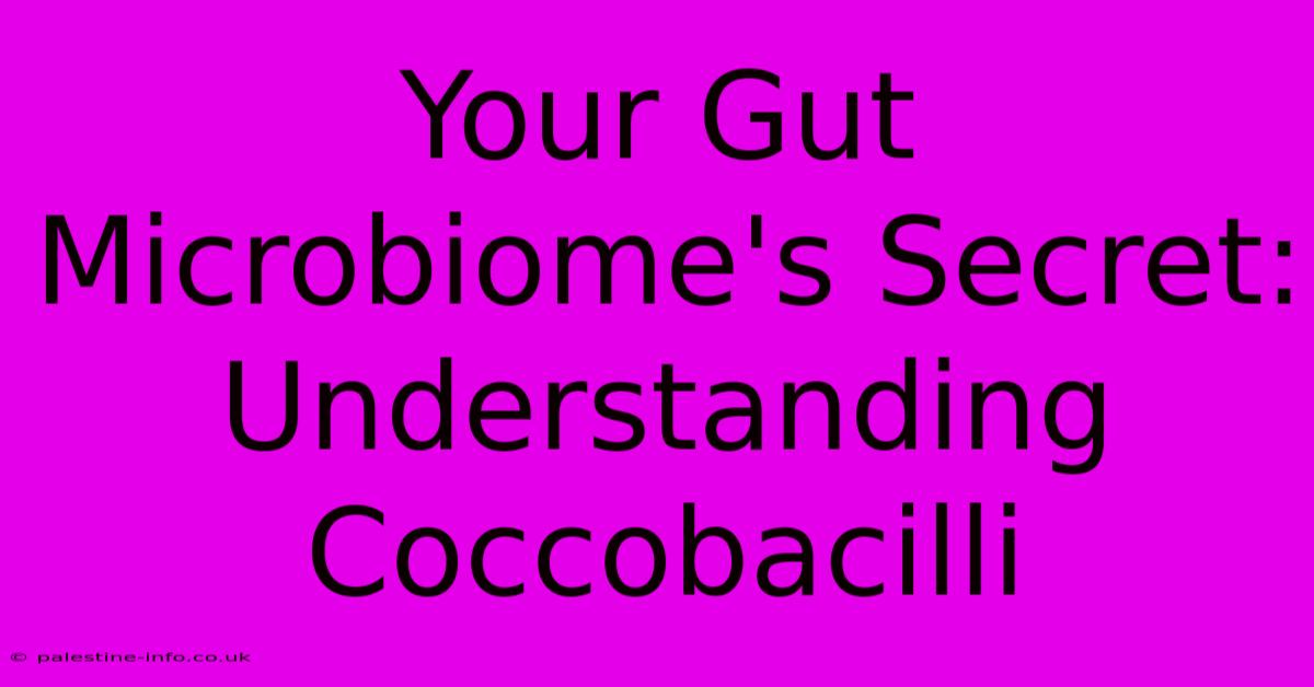 Your Gut Microbiome's Secret: Understanding Coccobacilli