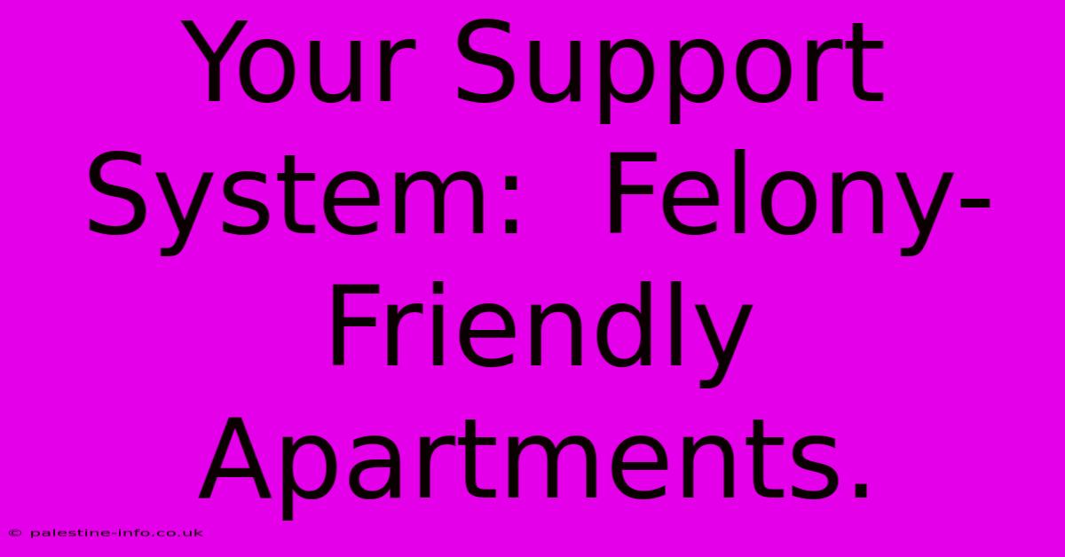 Your Support System:  Felony-Friendly Apartments.