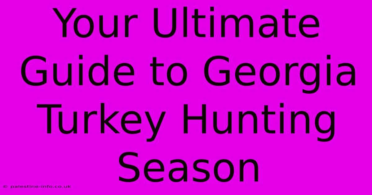 Your Ultimate Guide To Georgia Turkey Hunting Season